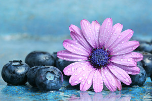 blueberries