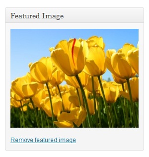 featured-image