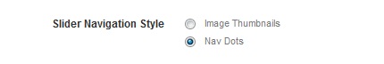 slideshow-navigation