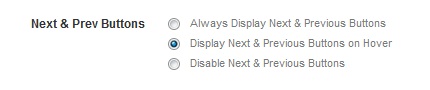 slideshow-nextprev